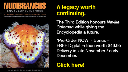 Nudibranch Encyclopedia